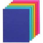 Bulk Colorful 2 Pocket Plastic Folders at DollarTree