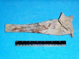   War Brass Bugle Horn Fragment, Confederate States Hill, Glorieta, NM