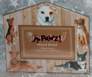 MIXED BREED Mutt Dog House Pet Photo Picture Frame New