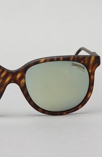 The Carrera 5445 Sunglasses in Brown and Blue