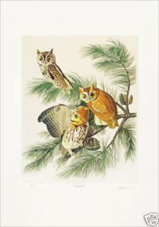 Ltd. Ed. Loates Audubon SCREECH OWLS Bird Print Signed & Numbered