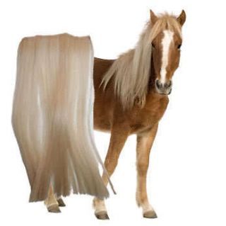 Mane Hair Extensions for horses hand made many colours