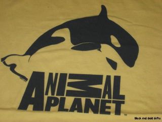 Large Juniors Graphic Tshirt Large Yellow Animal Planet Whale Shirt 