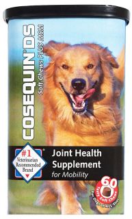 Buy Cosequin   DS Plus MSM Joint Health Supplement For Dogs   60 Soft 