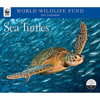 Sea Turtles WWF 2013 Deluxe Wall Calendar
