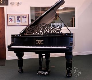Steinway Grand Piano, Hamburg, Best of The Best Special Holiday 
