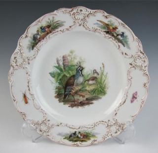  MEISSEN Porcelain GAME BIRDS Plate w/INSECTS Grouse Hunting German