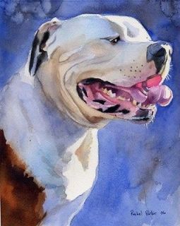 PRINT American Bulldog Watercolor Art Painting Dog
