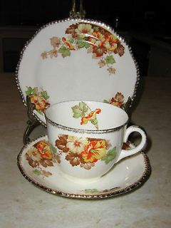 WOODS IVORY WARE AUTUMN HIBISCUS PATTERN CUP, SAUCER & PLATE   MADE 