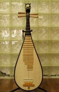 Musical Instruments & Gear  String  Lute