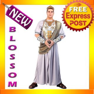 C401 Mens Zeus Greek Roman Caesar King Toga Fancy Adult Costume