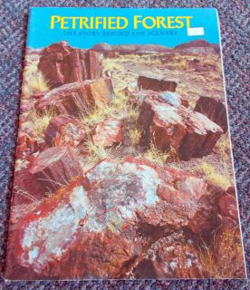 PETRIFIED FOREST The Story Behind the Scenery  Sidney Ash, David May