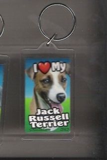 jack russell terrier key chain new  2