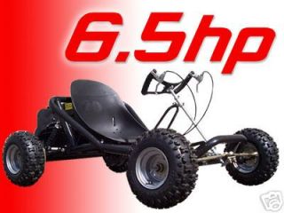 California Approved Engine 196cc Off Road Go Kart that goes 45mph 6 