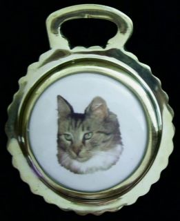 maine coon cat ceramic horse brass cat breed uniquegift time