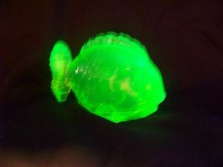 vaseline uranium glass chubby fish glow id122113 time left $
