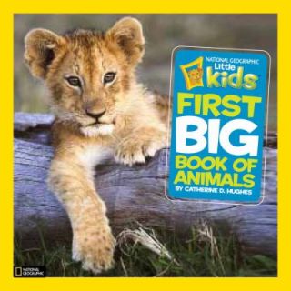 Little Kids Big Book of Animals by Catherine D. Hughes 2010, Hardcover 