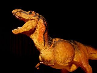 tyrannosaurus rex dinosaur figure toy carnegie safari time left $