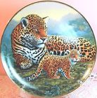 national wildlife federation jaguar and cubs mather 