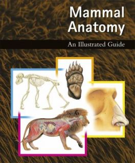 Mammal Anatomy An Illustrated Guide by Marshall Cavendish Corporation 