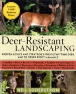 Deer Resistant Landscaping Proven Advice and Strategies for Outwitting 