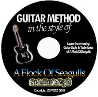 Flock Of Seagulls Guitar Tab Software Lesson CD + Free Bonuses