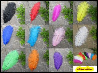   20pcs 12 14inch High Quality Natural OSTRICH FEATHERS Color Selection