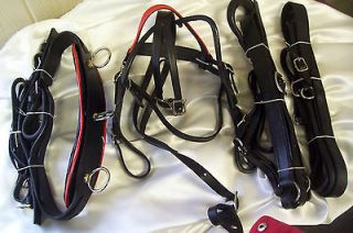 New Leather Mini Horse Driving Harness with Red Brow Band & Carry Bag