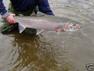 lamiglas 8 6 bc86ms 8 12 lb salmon spinning rod