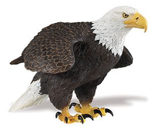 AMERICAN BALD EAGLE # 251029 ~Incredable Creatures ~ FREE SHIP/US w/ $ 