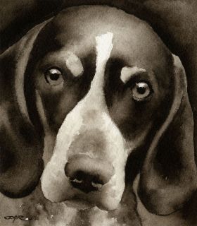 bluetick coonhound watercolor art signed by artist djr time left