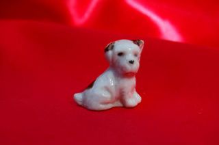 VINTAGE porcelain jack russell dog Wire fox terrier cute tiny dog 
