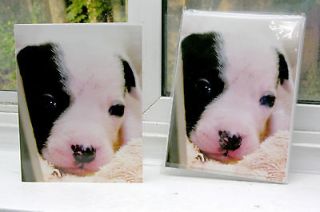 Pit Bull Puppy Close Up Blank Photo Note Cards Animal Rescue