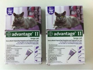 advantage ii flea control 6 packs for large cats over