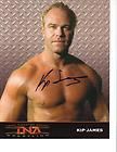 WWE Billy Gunn Kip James Wrestling Figure TNA Wrestler
