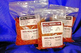 Freeze Dried MEALWORMS w / Simple n Save Ship Today order by 10 a.m 