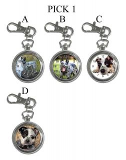 Cattle Red Blue Heeler Dog Puppy Puppies A D Key Chain Watch #PICK 1