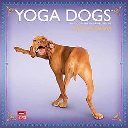 Yoga Dogs 2013 Calendar 2012, Calendar