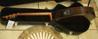 New Brazilian Giannini Handmade GWSCRA6 P EL Acoustic /Electric Guitar 