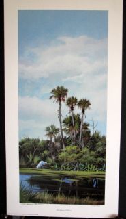 Neil Adamson Southern Palms Everglades Hammock Heron