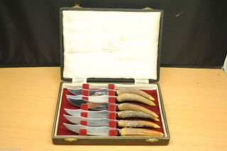  Shefield Harrison Bros Howson Real Stag Horn Steak Knife Set