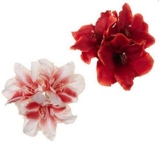   RED WHITE STRIPE AMARYLLIS S/2 Christmas Flower Ornament RAZ IMPORTS