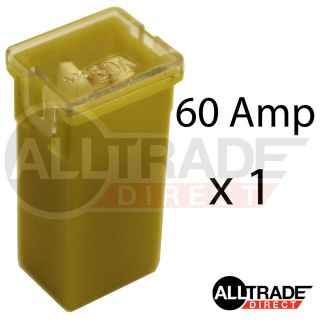 60 Amp Yellow PAL Pacific Type J Case Cartridge Female Slow Blow 