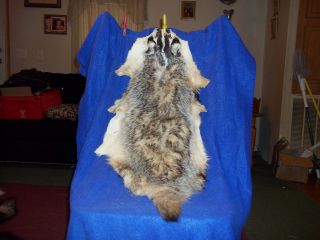 Tanned Animal Fur Badger Hide Pelt Skin Rug Parts