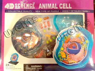 4D Vision 3D Puzzle Science Anatomy Model Animal Cell