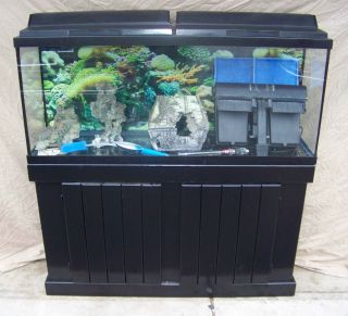 Complete 55 Gallon Fish Tank, Stand, Lights, Filter, and MORE