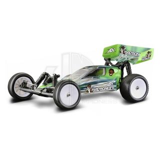 Ansmann Racing EP 1/10 Buggy 2WD Mad Monkey Brushless RTR with 2.4Ghz 