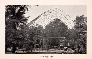 1910 Halftone Print Flying Cage New York Aviary Bird Zoo Central Park