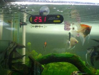 ADA Submersible LED Digital Display Thermometer Fish Aquarium Tank bby