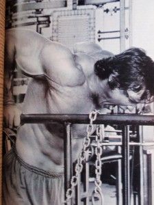 Muscle Fitness & Flex magazine ARNOLD SCHWARZENEGGER The Icon (with 